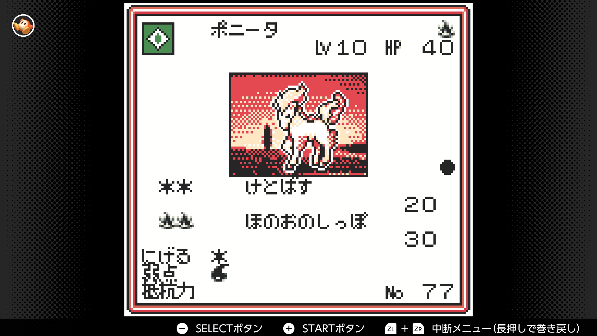 ポニータ