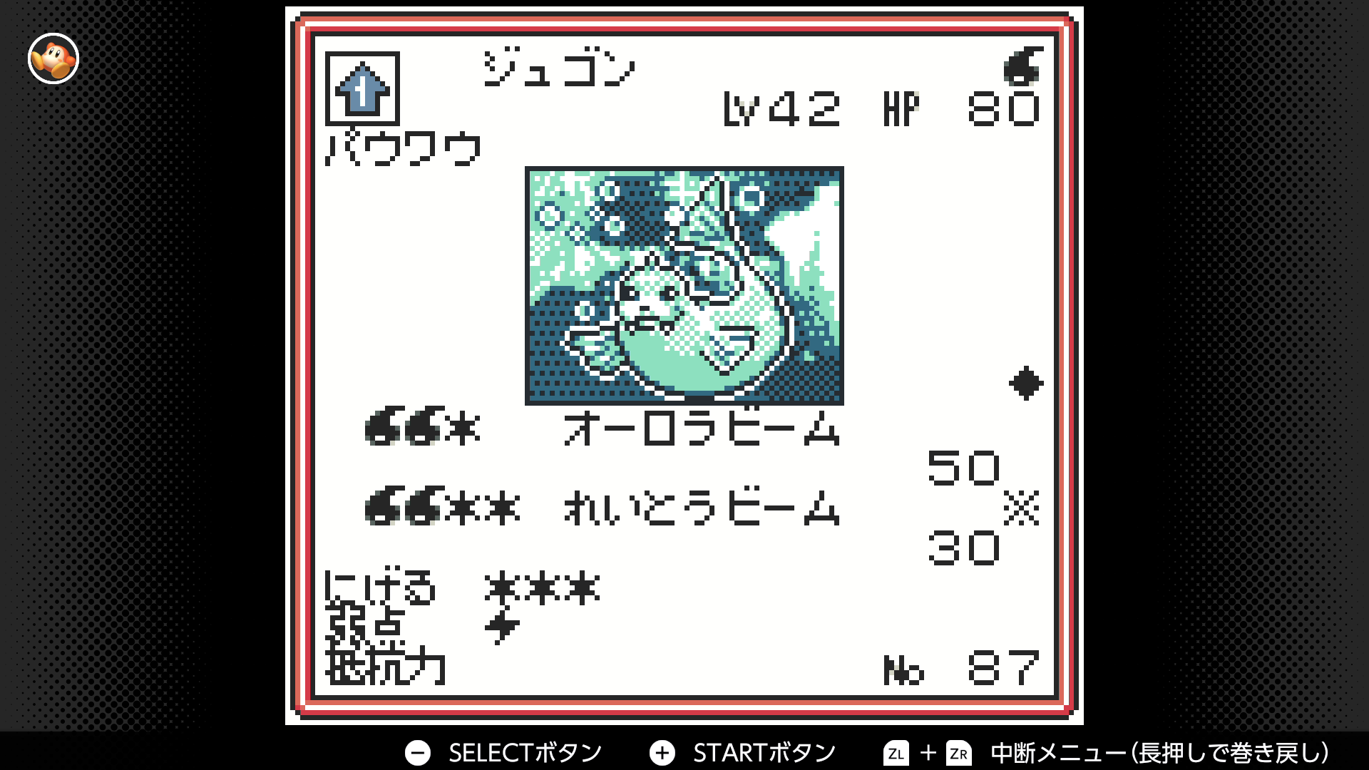 ジュゴン