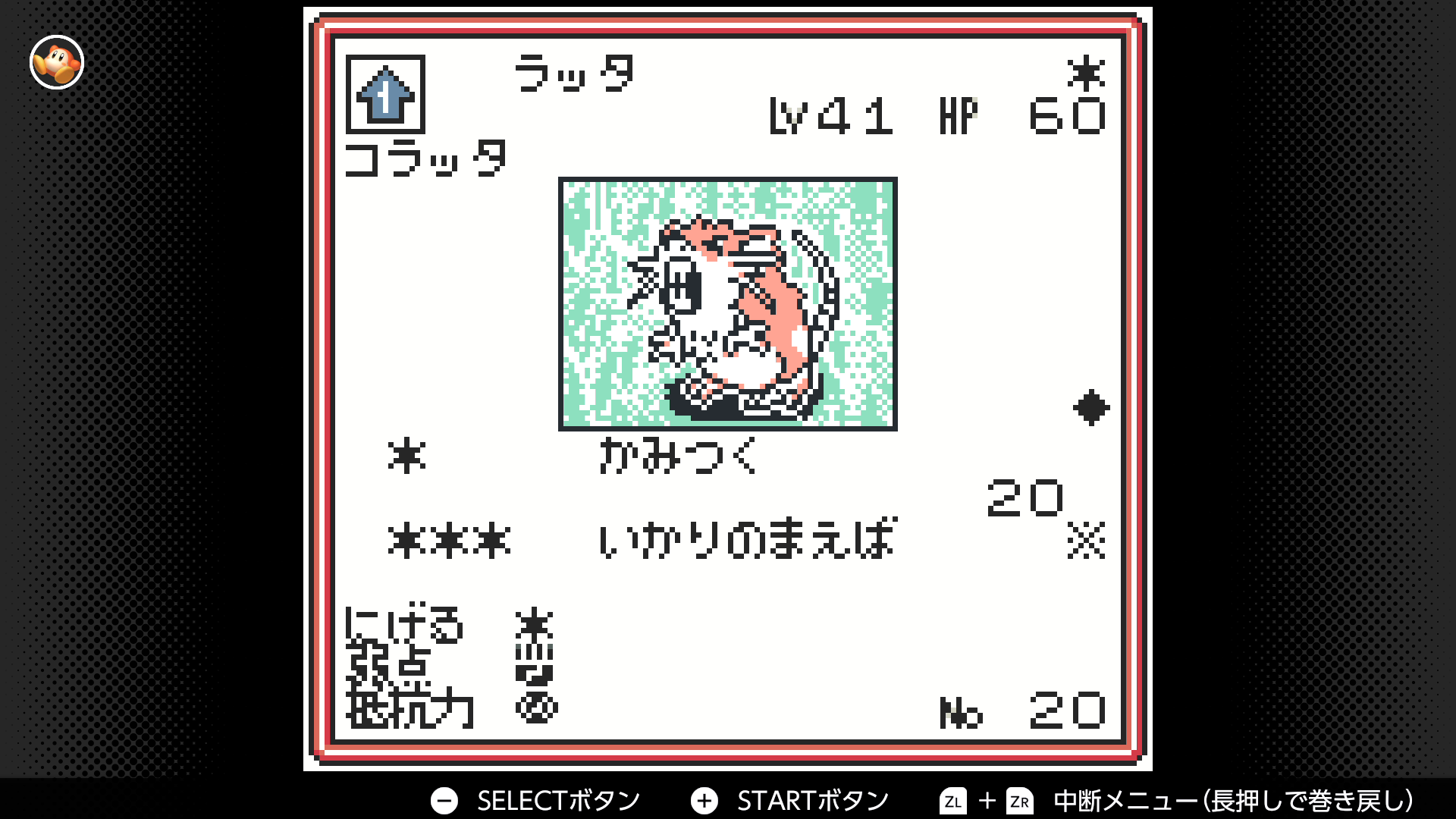 ラッタ