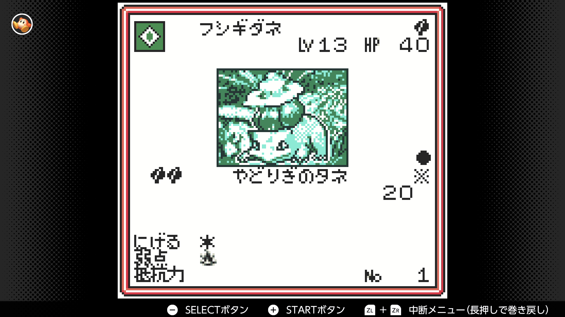 フシギダネ