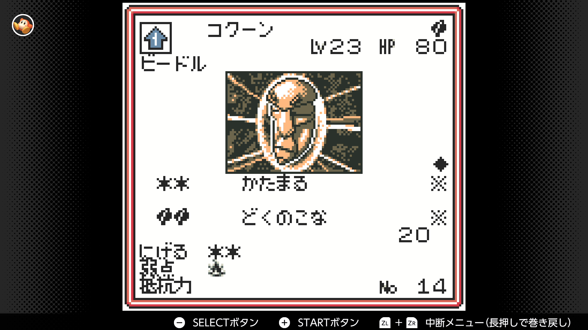 コクーン