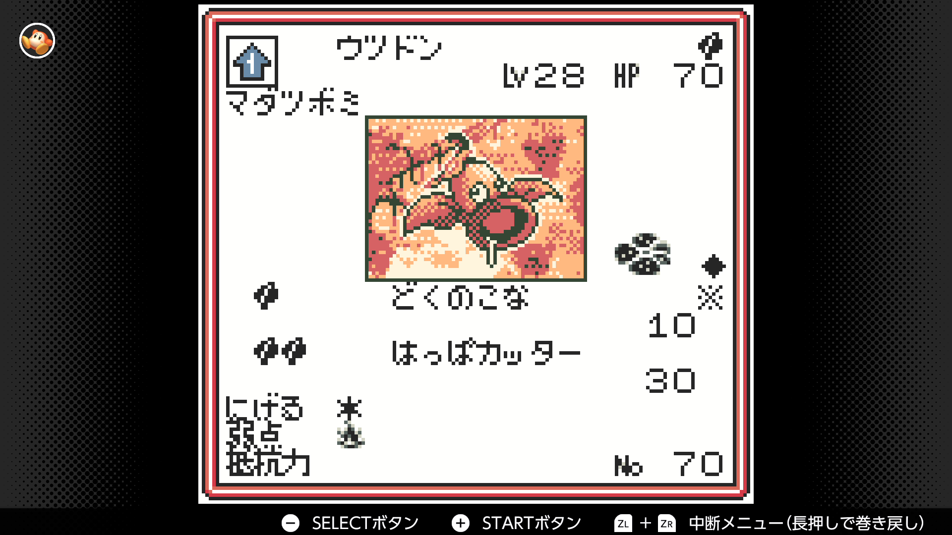 ウツドン