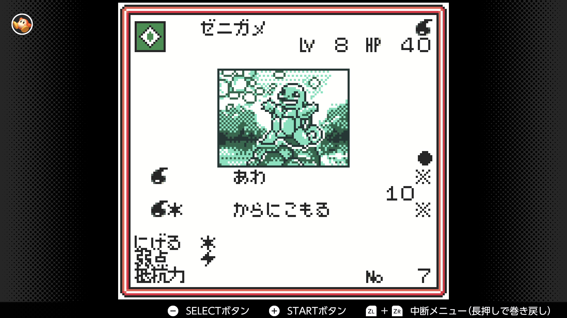 ゼニガメ