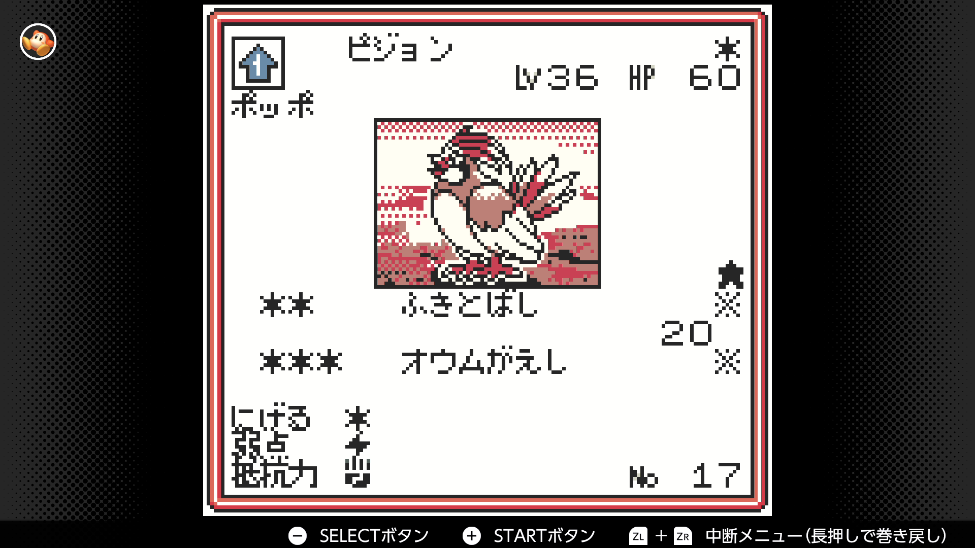 ピジョン