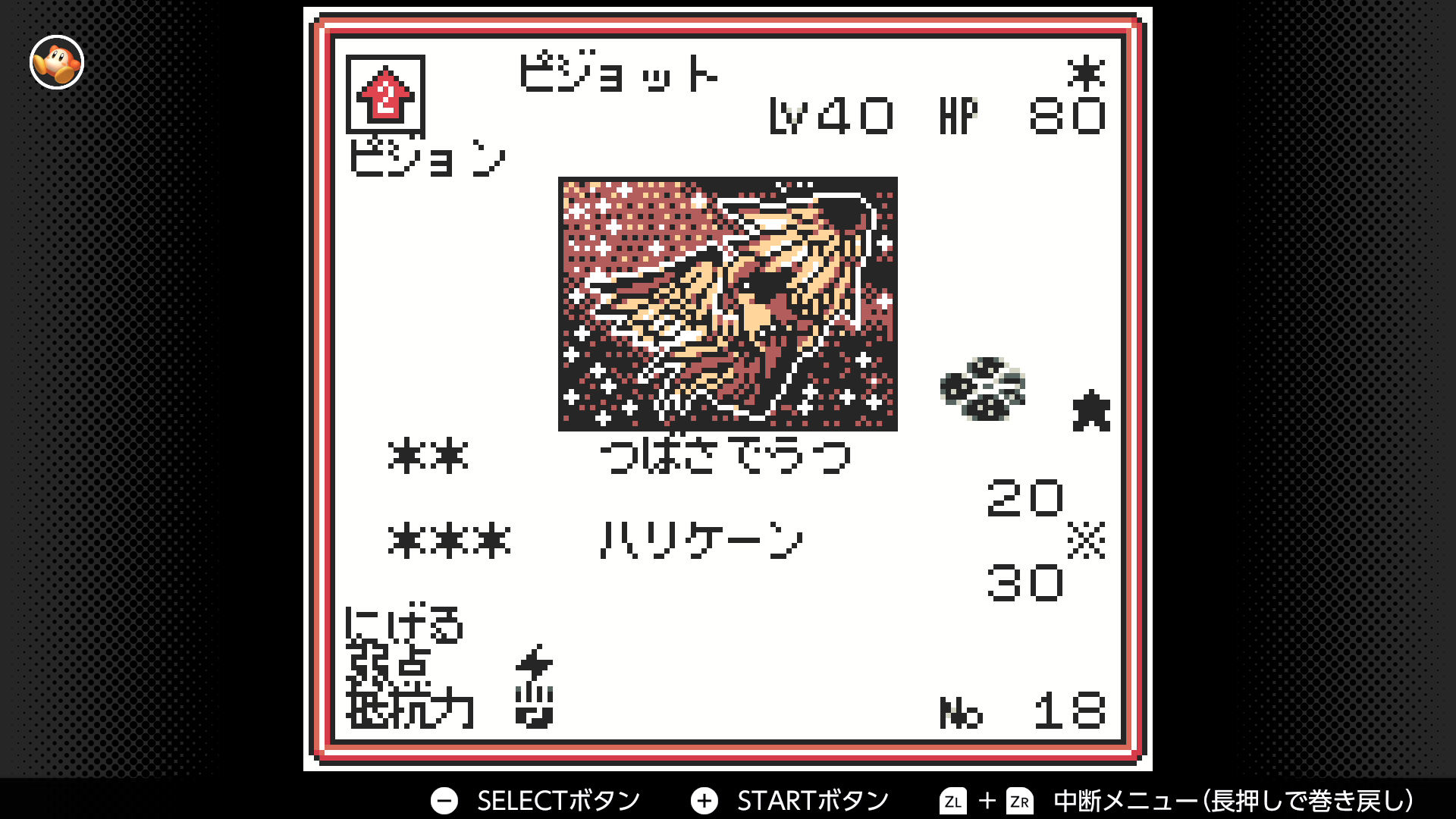 ピジョット