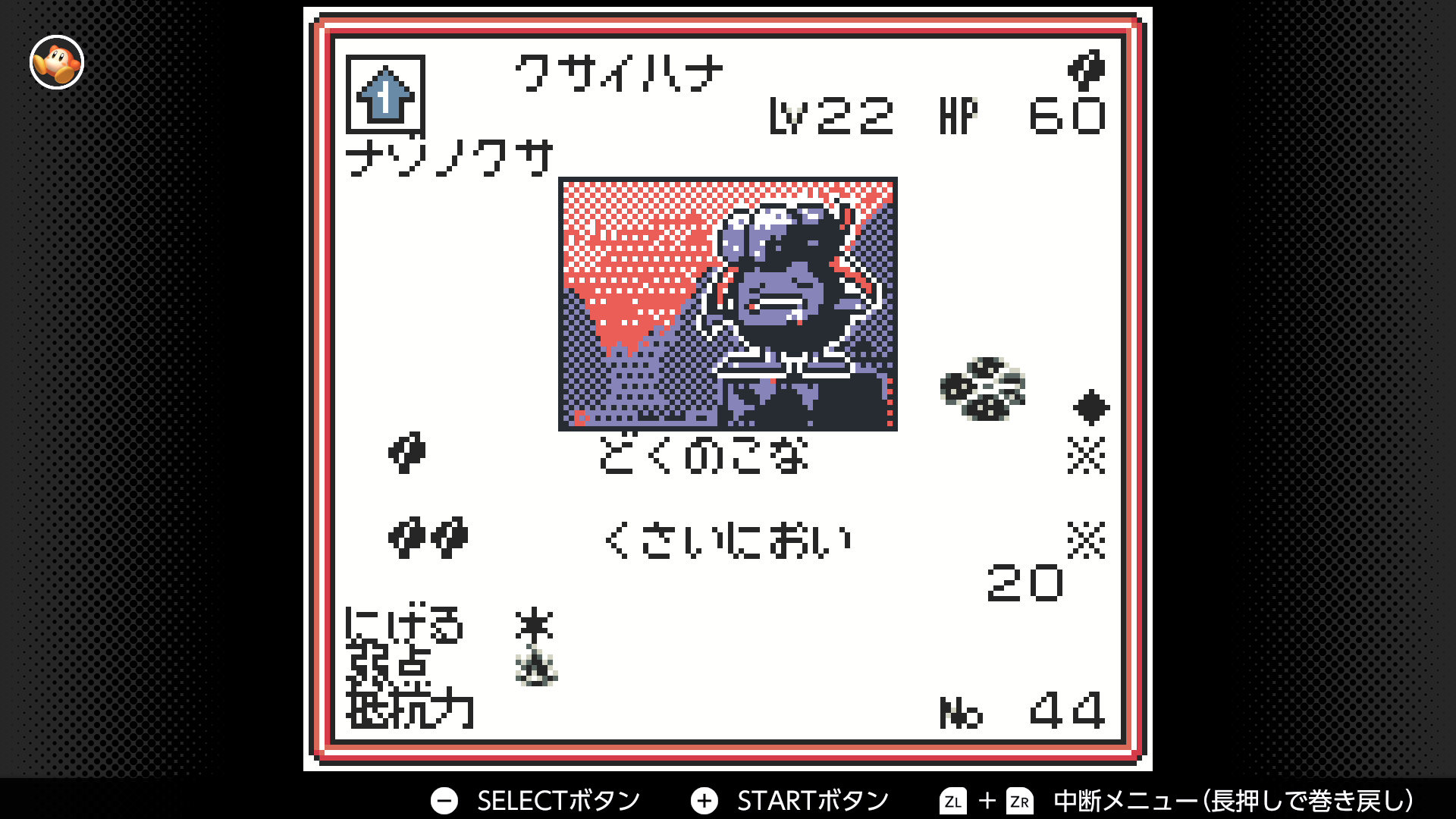 クサイハナ