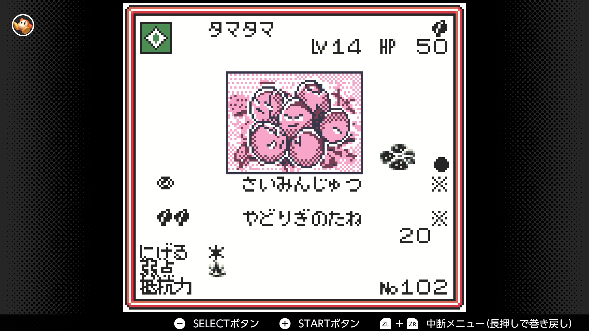 タマタマ