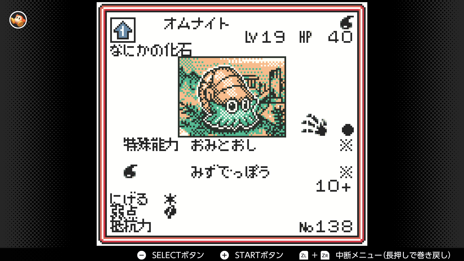 オムナイト