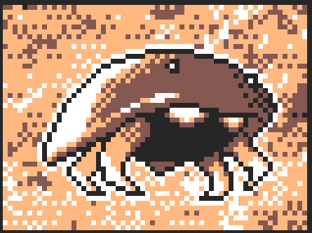カブト