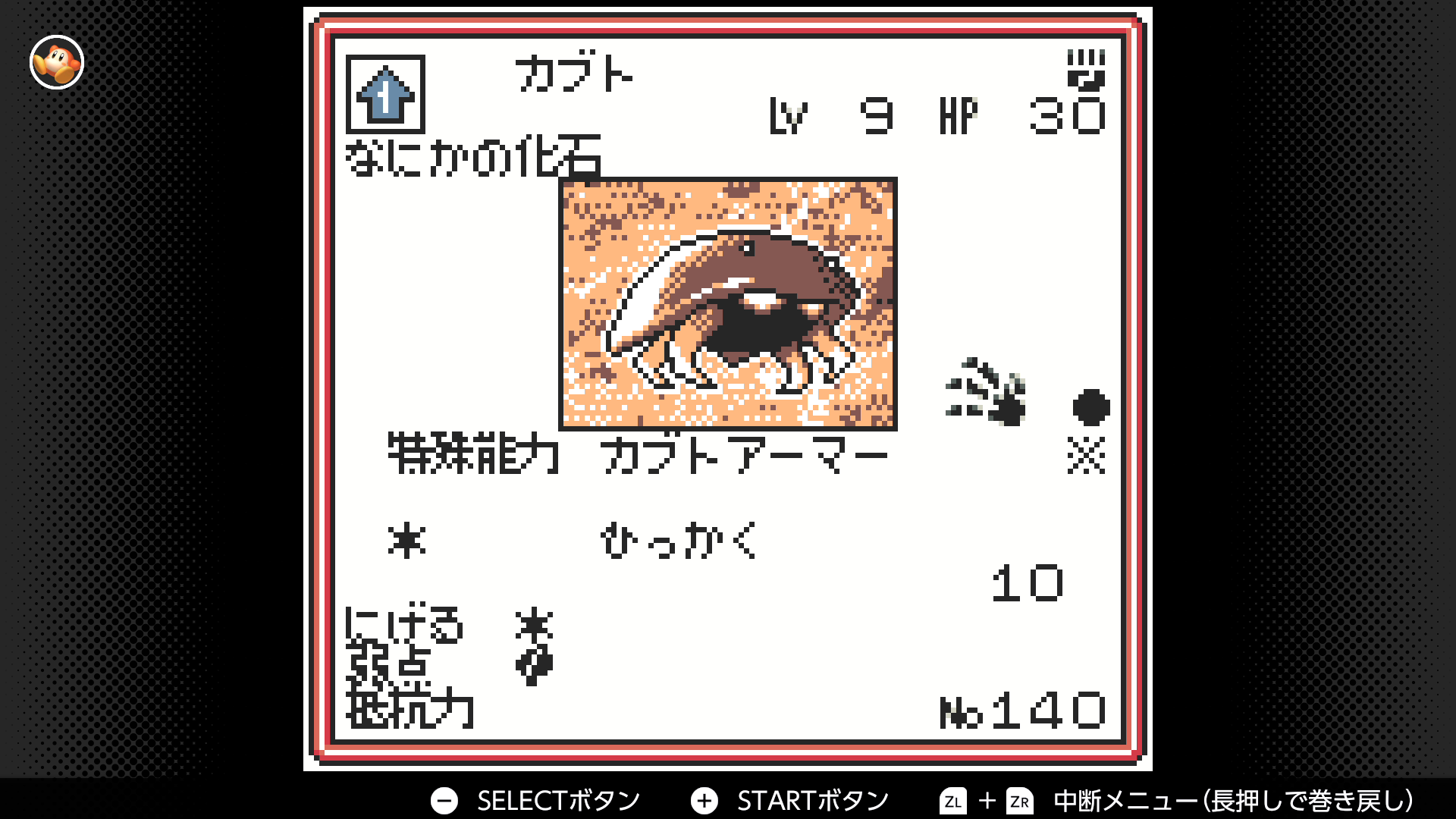 カブト