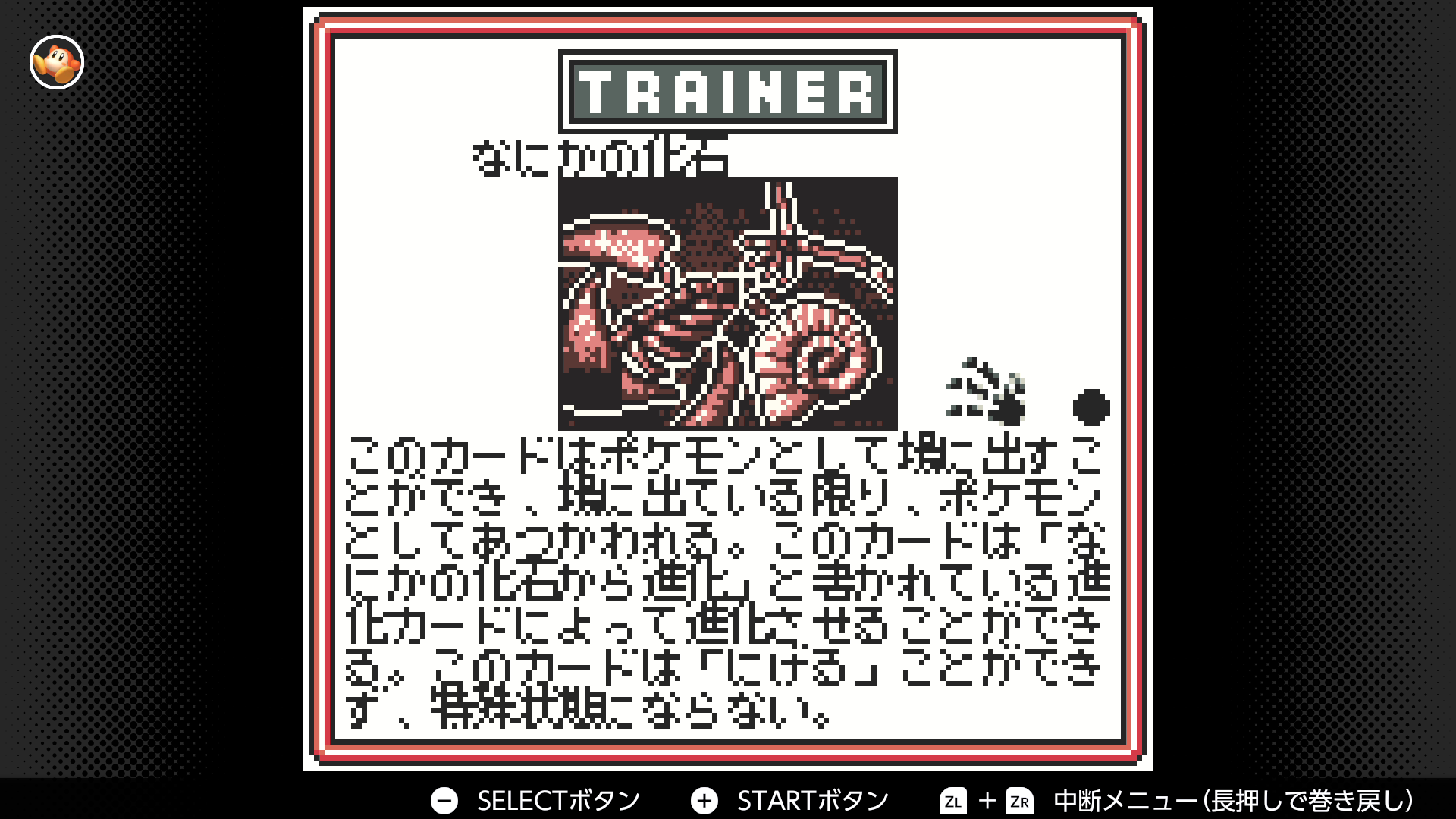 なにかの化石