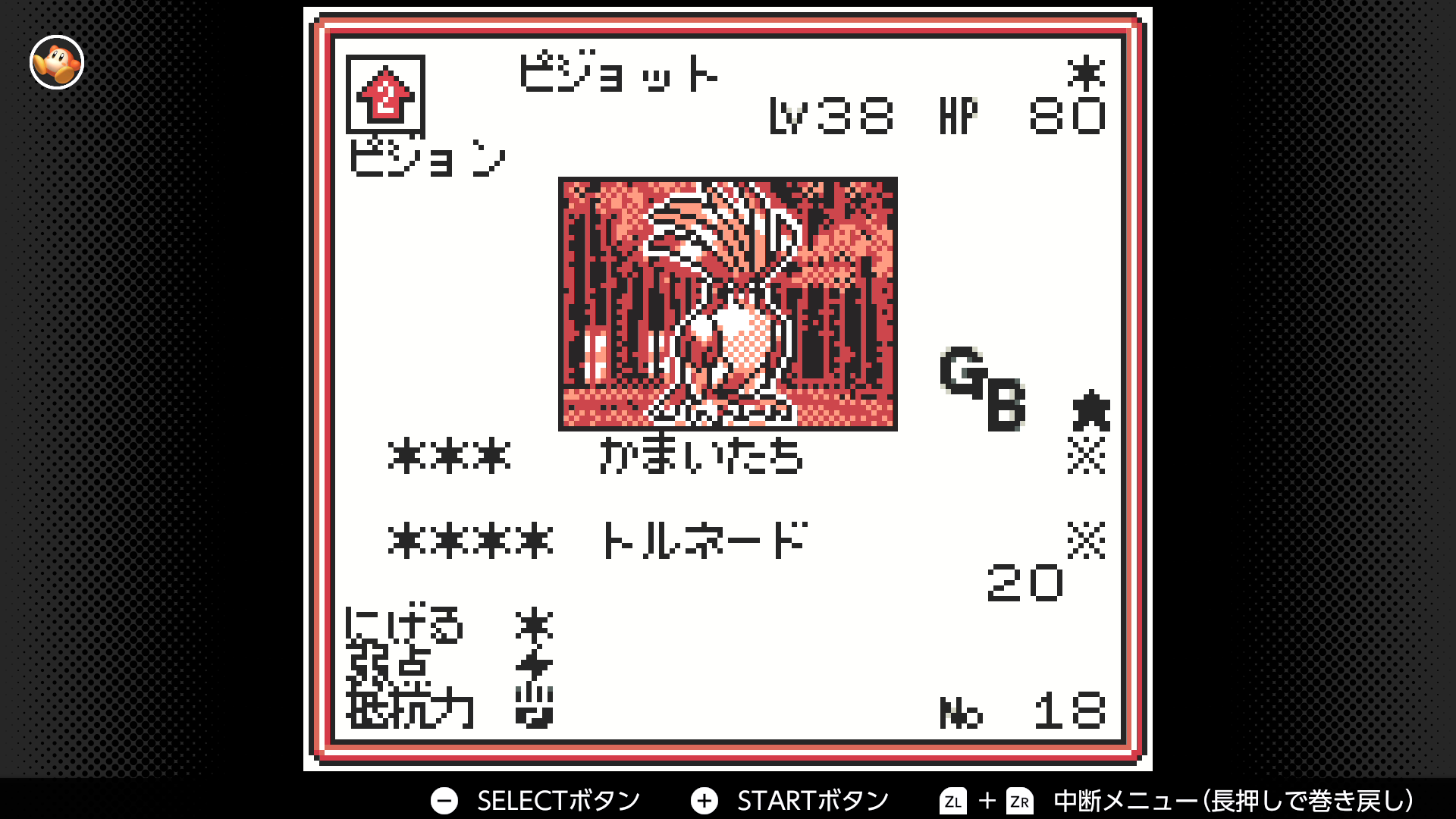 ピジョット