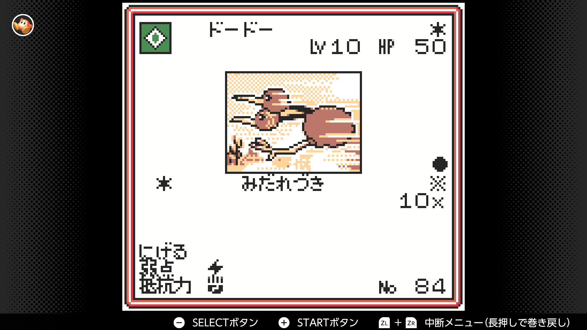 ドードー