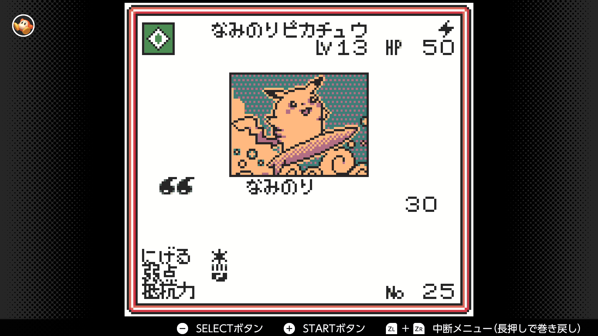 なみのりピカチュウ