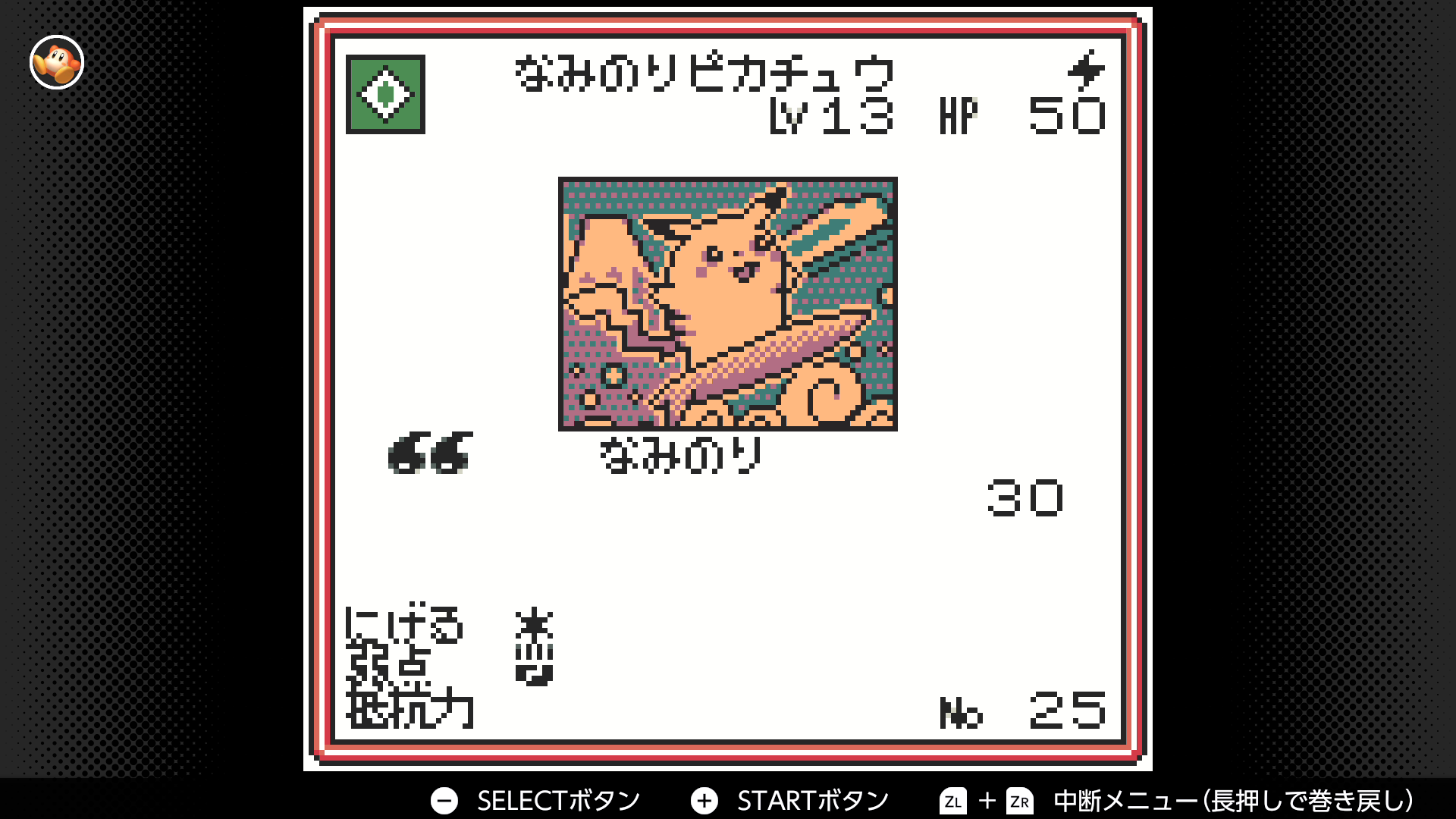 なみのりピカチュウ